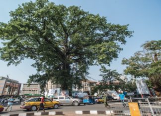 KAMBOI EAGLES BELABOURS FREETOWN CITY AND THE HUNTERS BECAME THE HUNTED KAMBOI EAGLES BELABOURS FREETOWN CITY AND THE HUNTERS BECAME THE HUNTED
