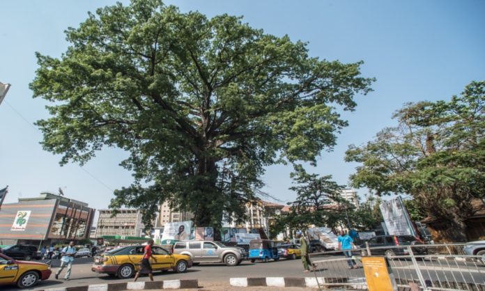 KAMBOI EAGLES BELABOURS FREETOWN CITY AND THE HUNTERS BECAME THE HUNTED