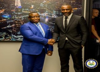 Idris Elba to transform Sherbro Island into a World-Class City