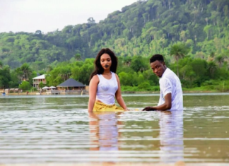 New song: Prince Bee – In Love With You (Official Video 2019)
