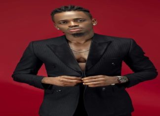 Diamond Platinumz offer to pay 3 months rent to 500 households